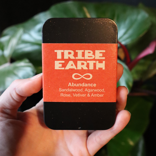Tribe Earth Incense Cones – Sacred Aromas for Ritual & Reflection