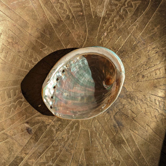 Abalone Shell Smudge Ritual Ceremonial