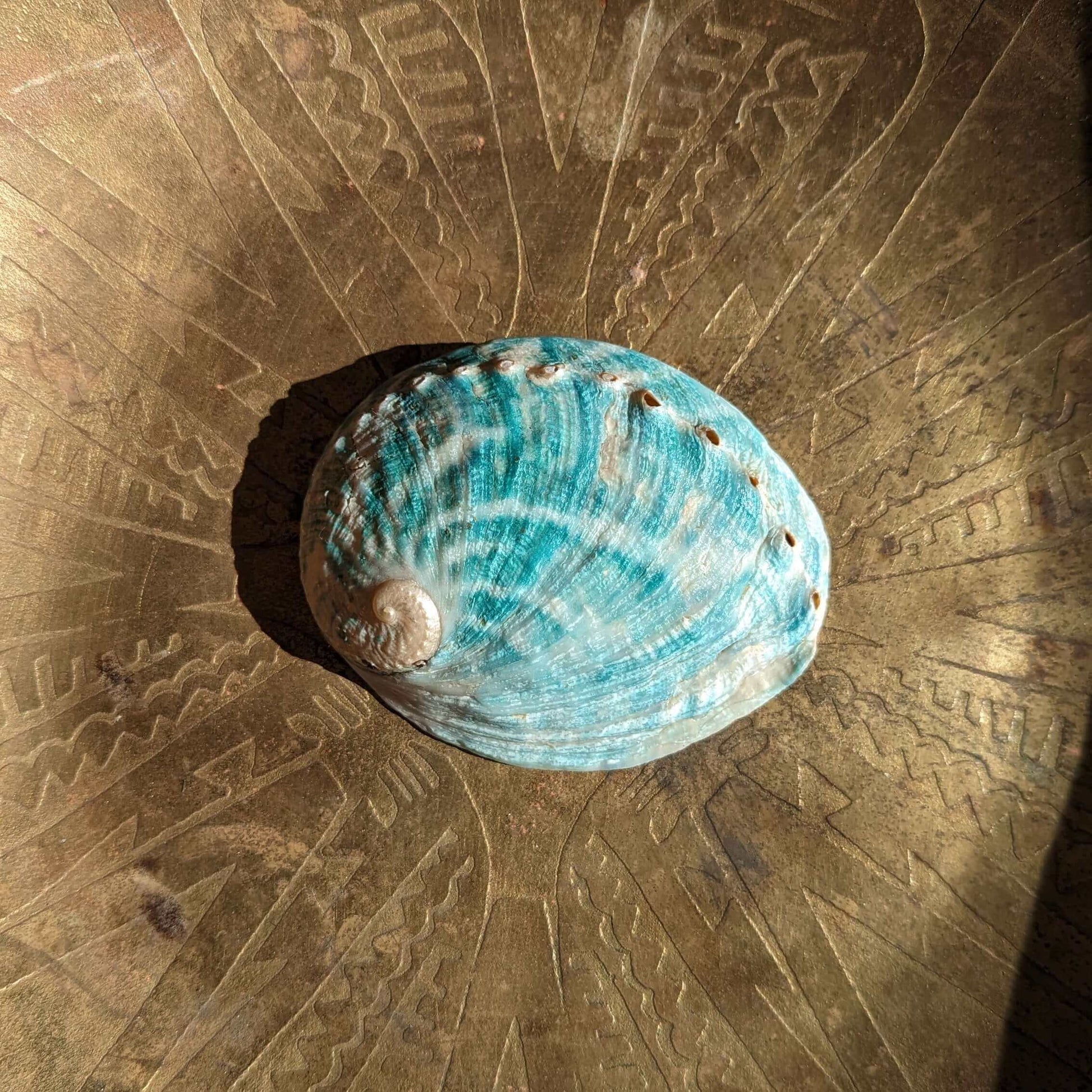 Abalone Shell Smudge Ritual Ceremonial