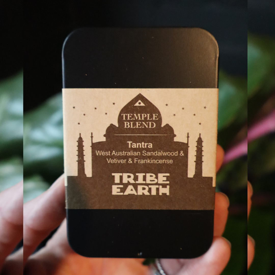 Tribe Earth Incense Cones – Sacred Aromas for Ritual & Reflection