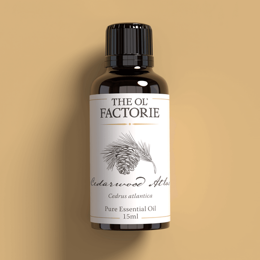 Cedarwood Atlas Essential Oil