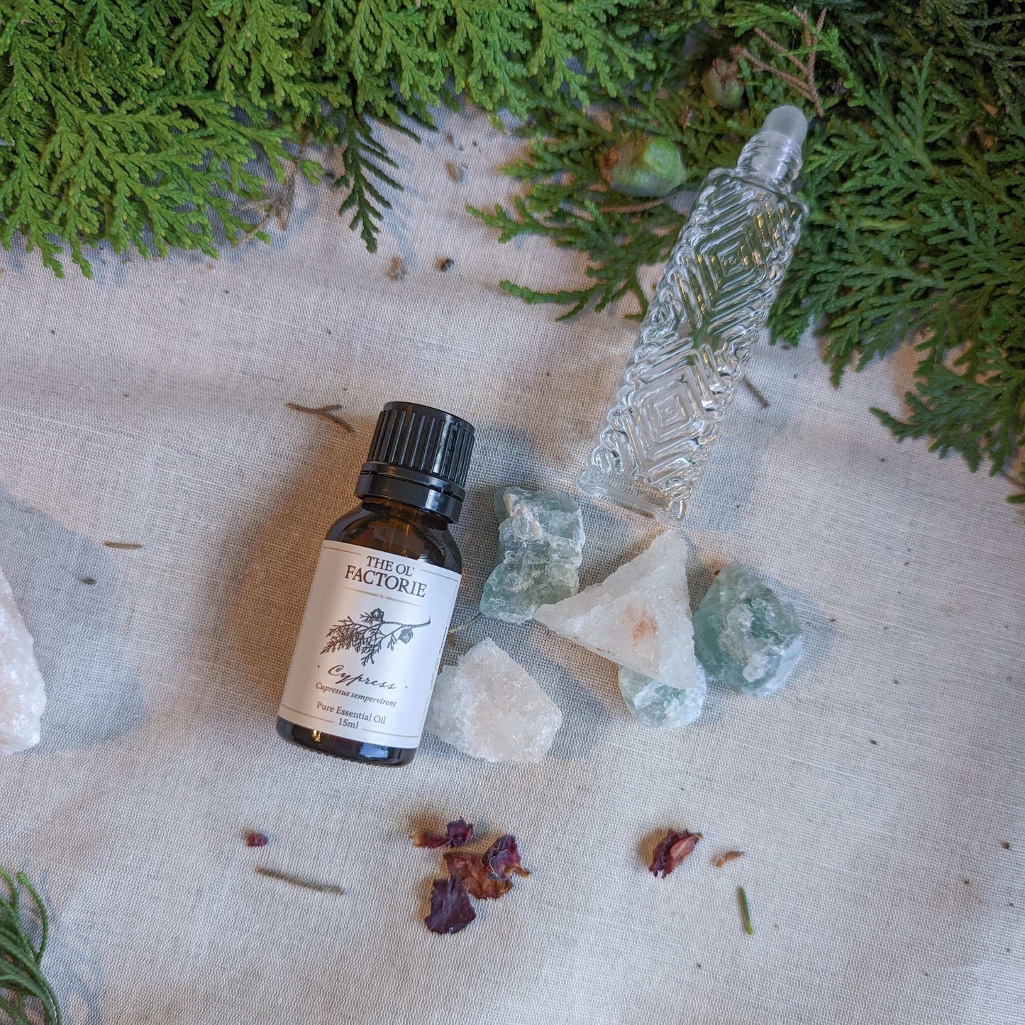 5ml 10ml 15ml Cypress Essential Oil