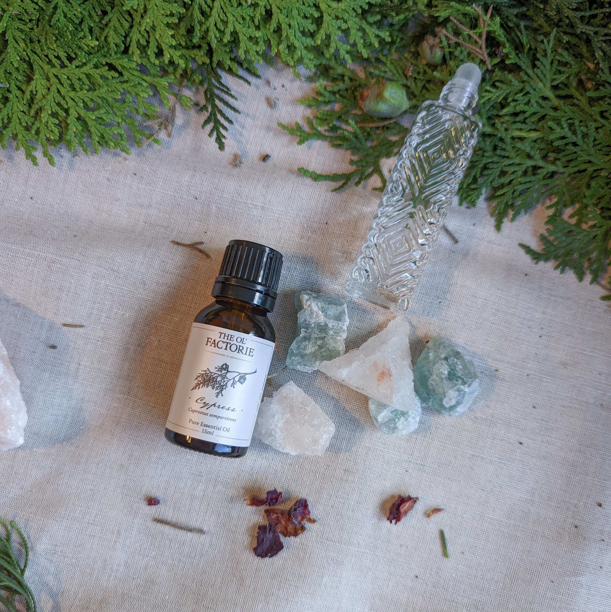 5ml 10ml 15ml Cypress Essential Oil