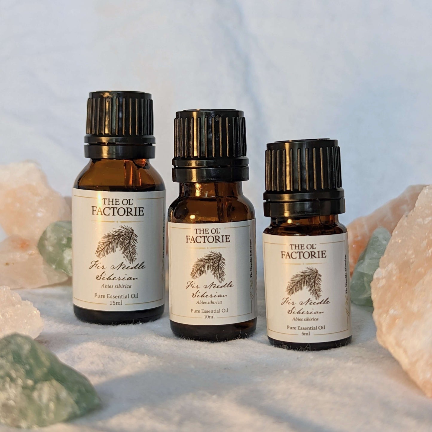15ml 10ml 5ml bottle Fir Needle Siberian Essential Oil