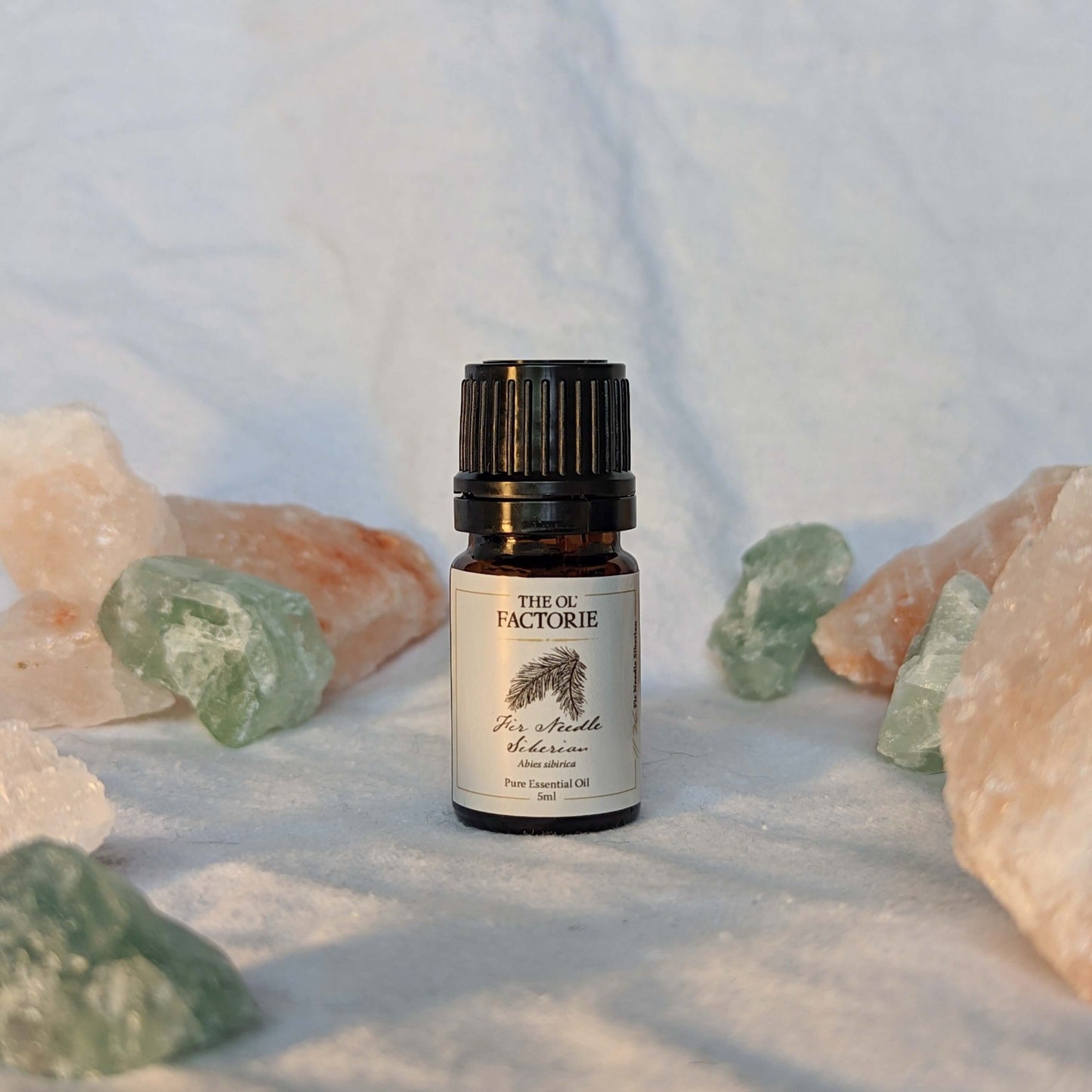 5ml bottle Fir Needle Siberian Essential Oil