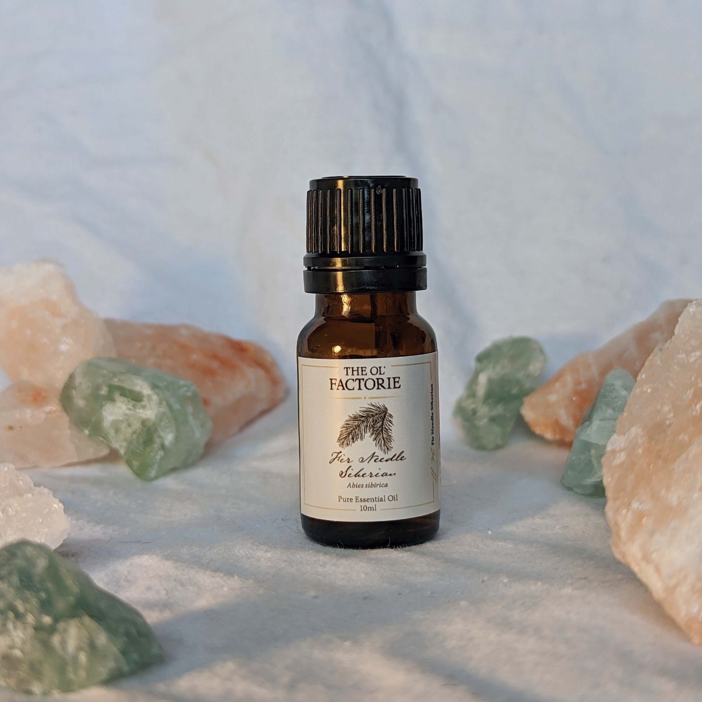 10ml Bottle Fir Needle Siberian Essential Oil