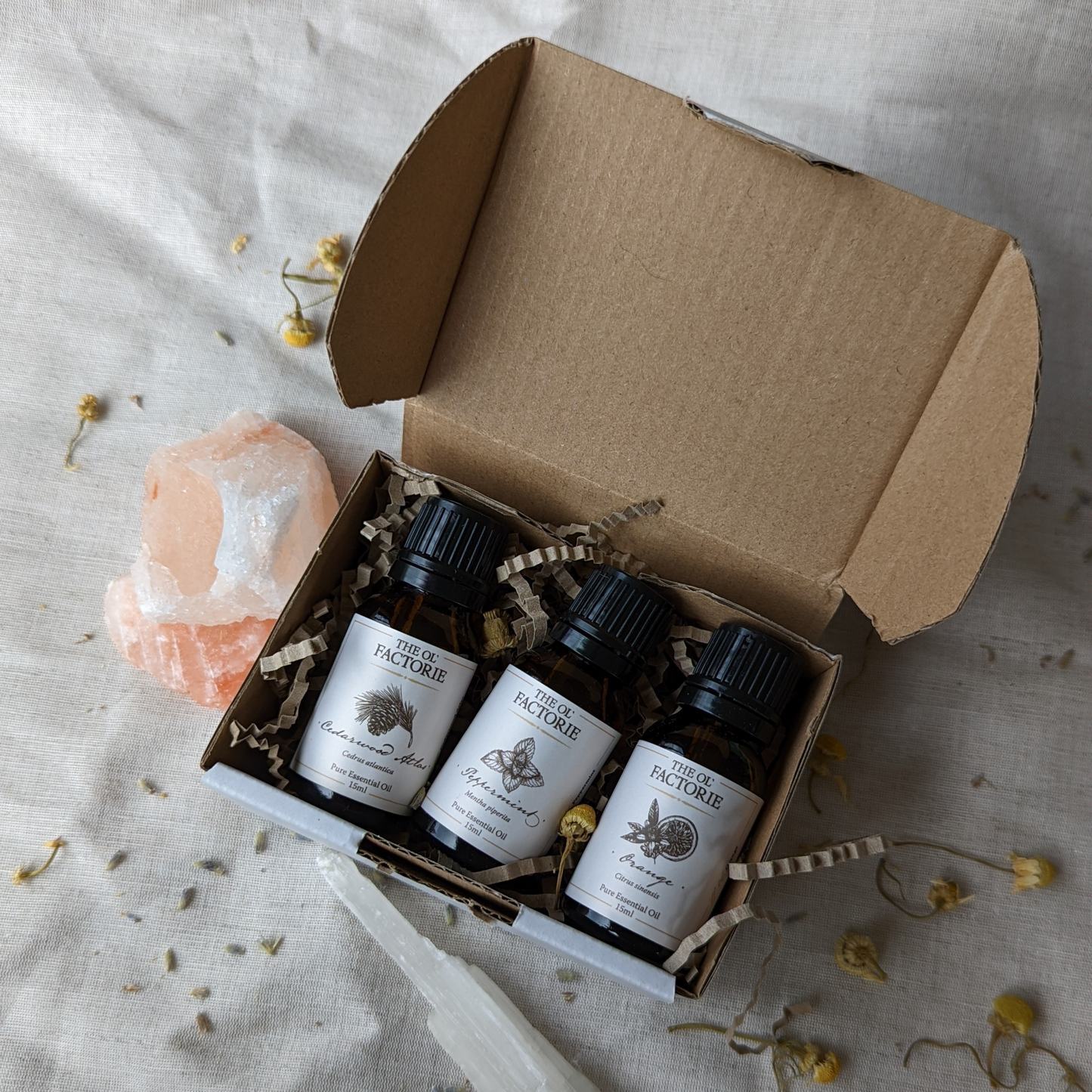 Winter Wellness Bundle