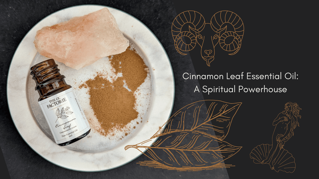 Cinnamon Leaf Essential oil Cinnamon Aries Love Aphrodite