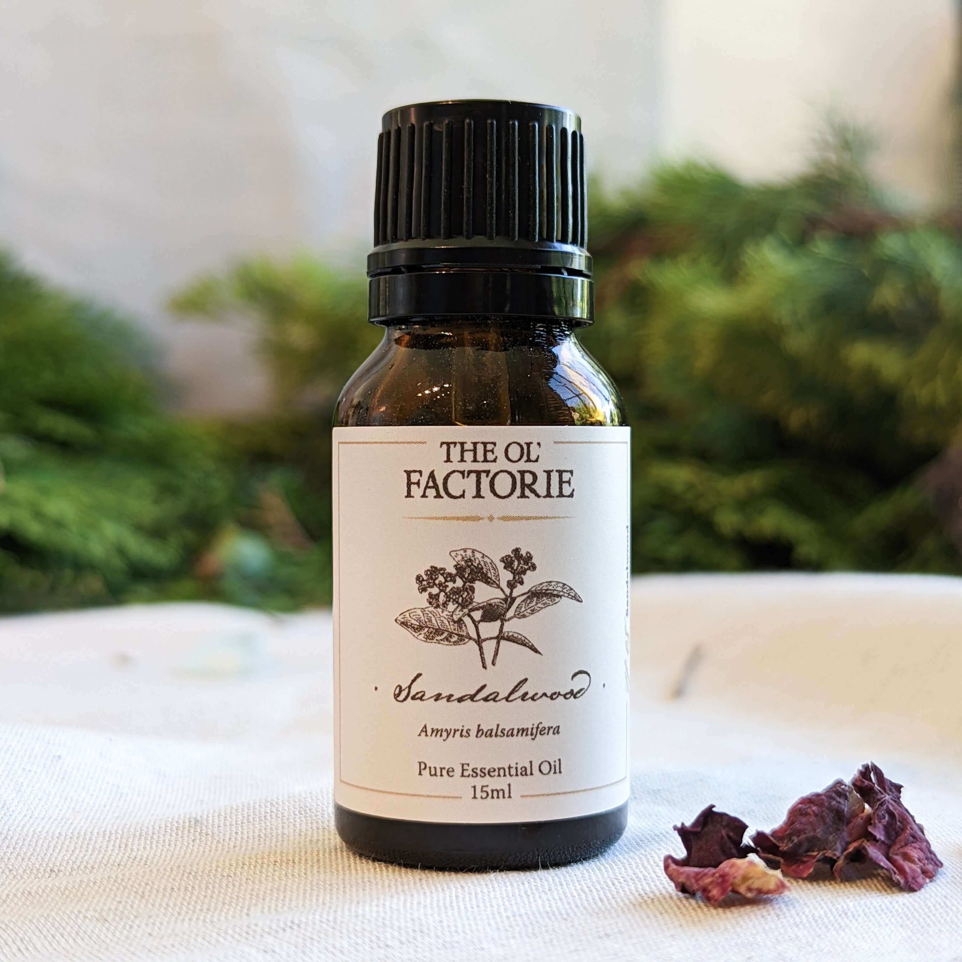 15ml Sandalwood Essential Oil