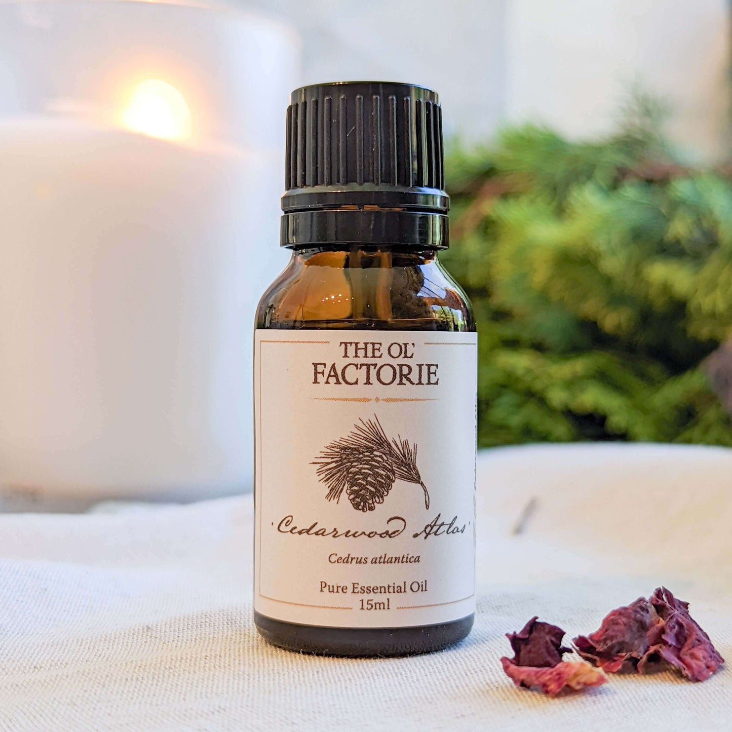 Cedarwood Atlas Essential Oil Bottle