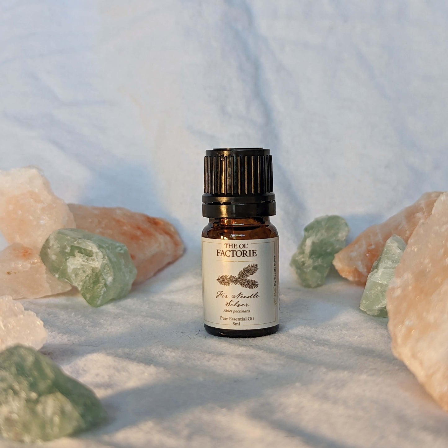 5ml Bottle Fir Needle Silver Essential Oil