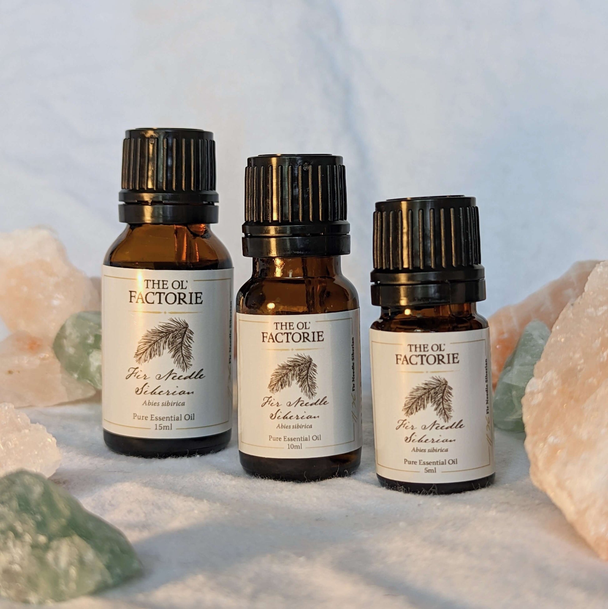15ml 10ml 5ml bottle Fir Needle Siberian Essential Oil