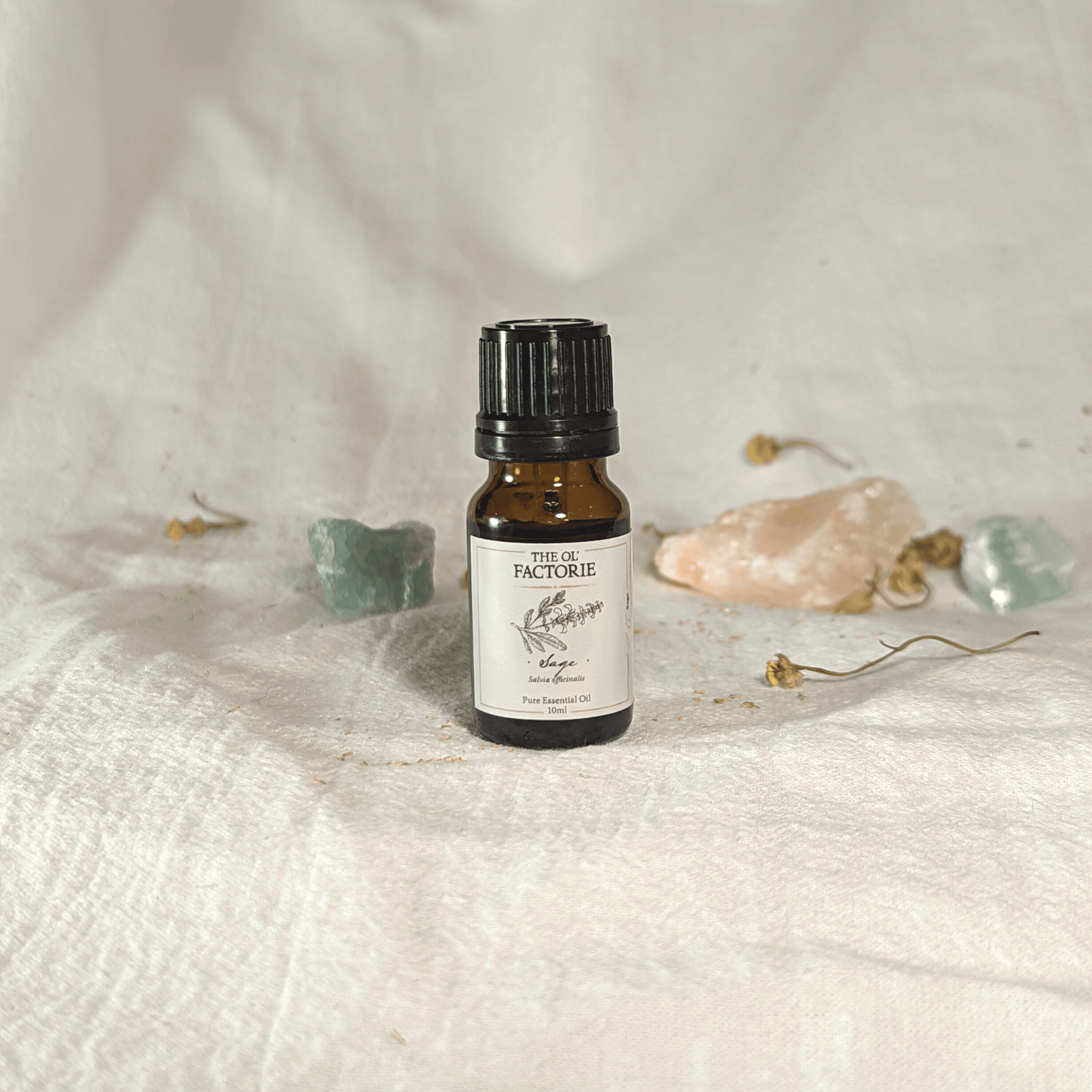 10ml Sage Essential Oil