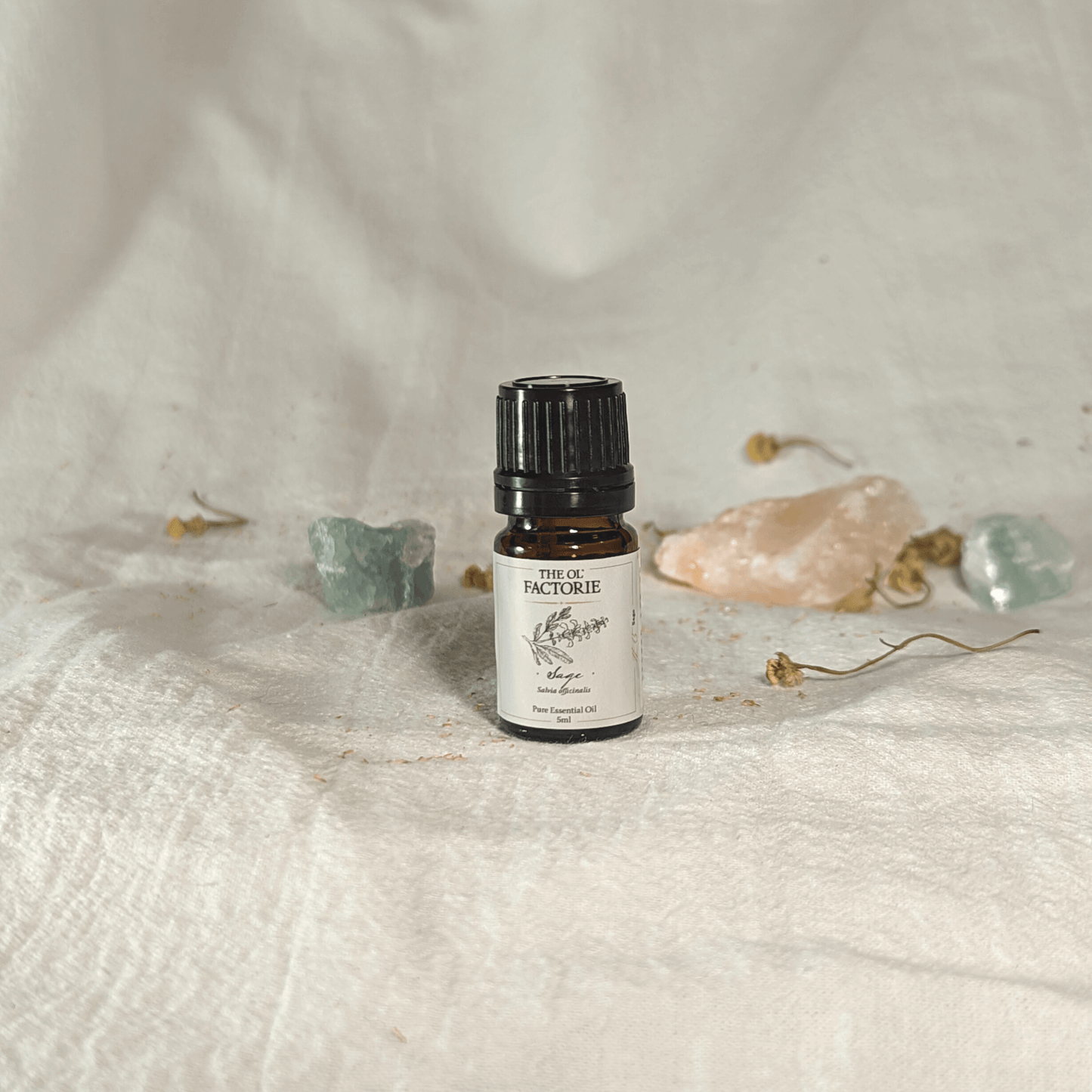 5ml Sage Essential Oil